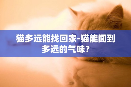 貓多遠能找回家-貓能聞到多遠的氣味？