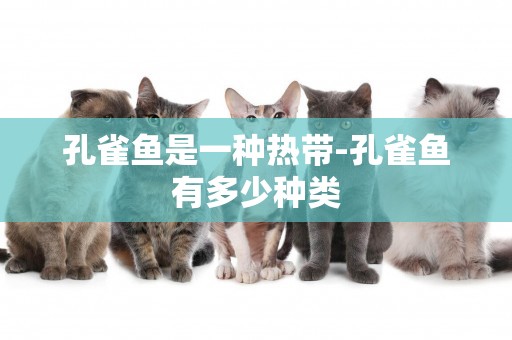 孔雀魚是一種熱帶-孔雀魚有多少種類