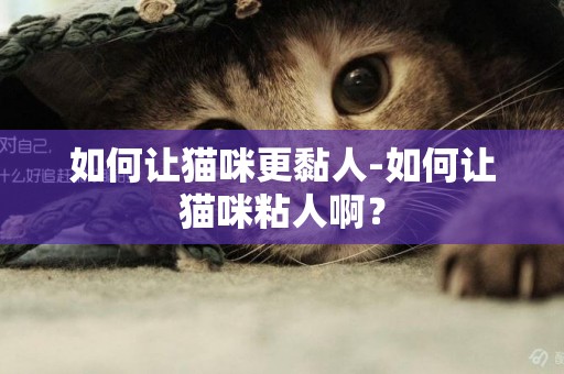 如何讓貓咪更黏人-如何讓貓咪粘人啊？