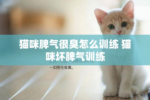 貓咪脾氣很臭怎么訓練 貓咪壞脾氣訓練