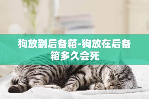 狗放到后備箱-狗放在后備箱多久會死