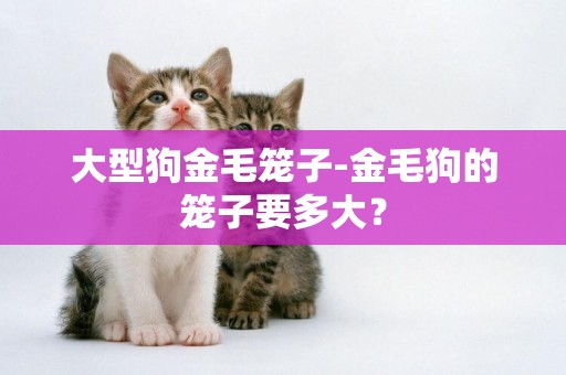 大型狗金毛籠子-金毛狗的籠子要多大？
