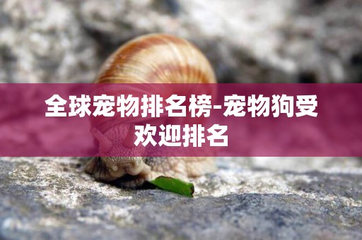 全球寵物排名榜-寵物狗受歡迎排名