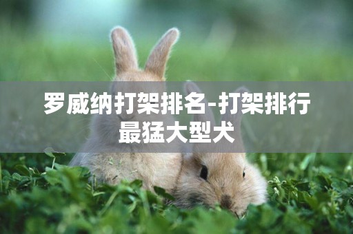 羅威納打架排名-打架排行最猛大型犬