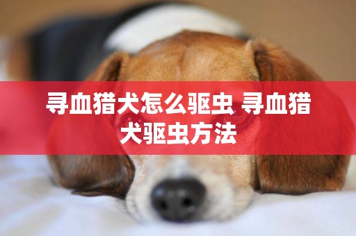 尋血獵犬怎么驅蟲 尋血獵犬驅蟲方法