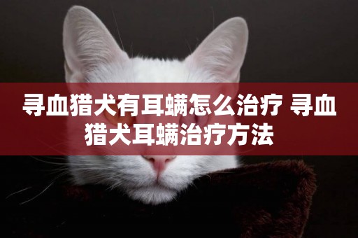 尋血獵犬有耳螨怎么治療 尋血獵犬耳螨治療方法