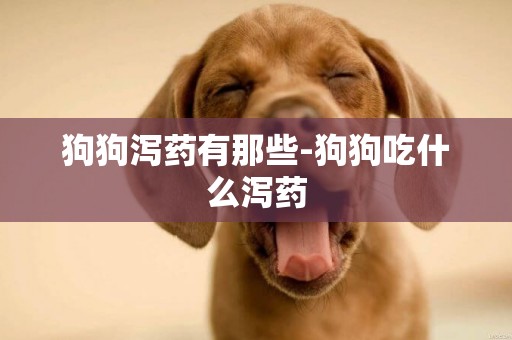 狗狗瀉藥有那些-狗狗吃什么瀉藥