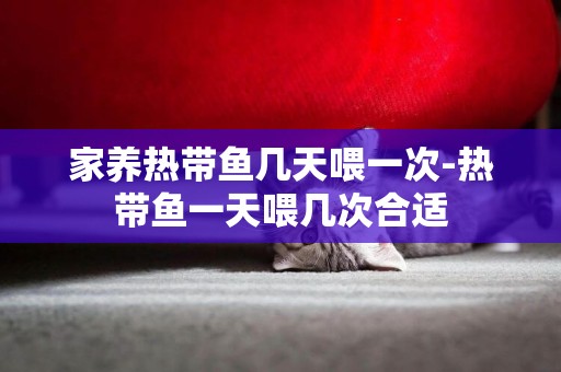 家養熱帶魚幾天喂一次-熱帶魚一天喂幾次合適