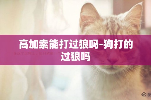 高加索能打過狼嗎-狗打的過狼嗎