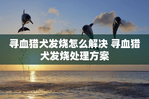 尋血獵犬發燒怎么解決 尋血獵犬發燒處理方案