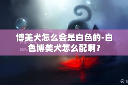 博美犬怎么會是白色的-白色博美犬怎么配啊？