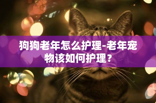 狗狗老年怎么護理-老年寵物該如何護理？