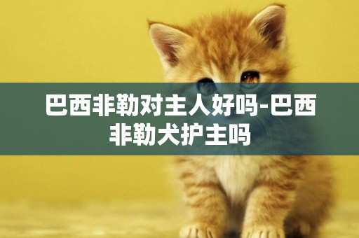 巴西非勒對主人好嗎-巴西非勒犬護主嗎