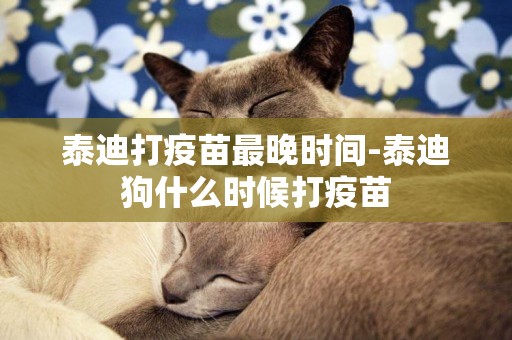 泰迪打疫苗最晚時間-泰迪狗什么時候打疫苗