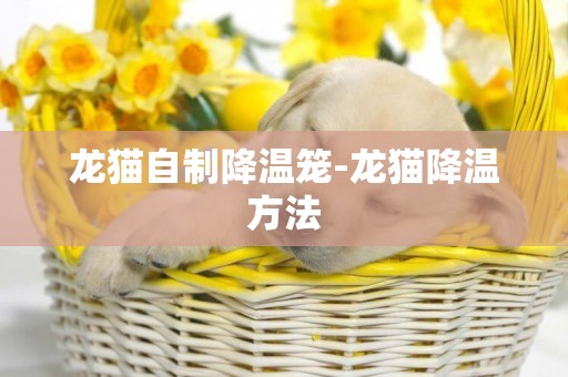 龍貓自制降溫籠-龍貓降溫方法