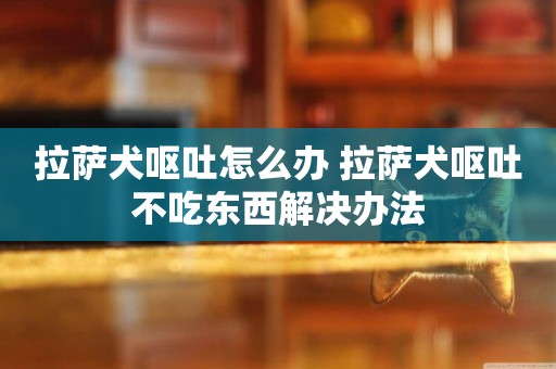 拉薩犬嘔吐怎么辦 拉薩犬嘔吐不吃東西解決辦法