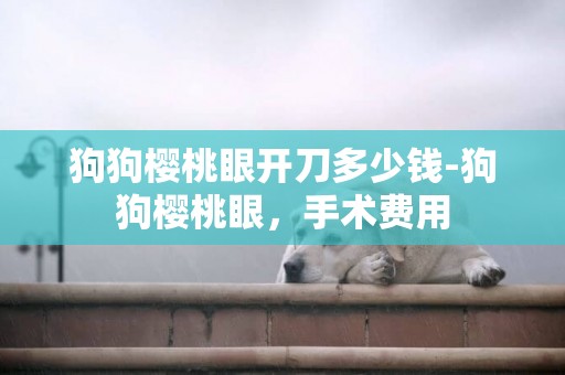 狗狗櫻桃眼開刀多少錢-狗狗櫻桃眼，手術費用