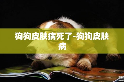 狗狗皮膚病死了-狗狗皮膚病