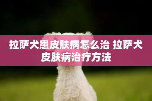 拉薩犬患皮膚病怎么治 拉薩犬皮膚病治療方法