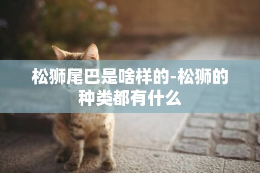 松獅尾巴是啥樣的-松獅的種類都有什么