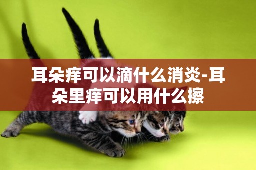 耳朵癢可以滴什么消炎-耳朵里癢可以用什么擦