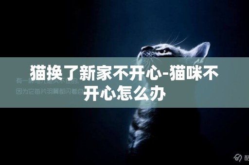 貓換了新家不開心-貓咪不開心怎么辦