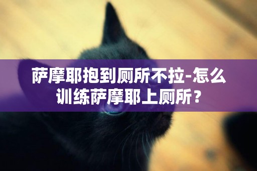 薩摩耶抱到廁所不拉-怎么訓練薩摩耶上廁所？