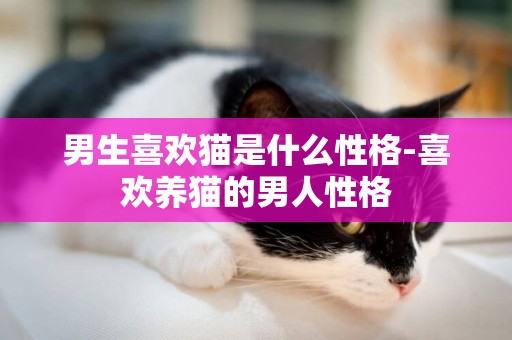 男生喜歡貓是什么性格-喜歡養貓的男人性格