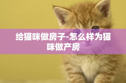 給貓咪做房子-怎么樣為貓咪做產房