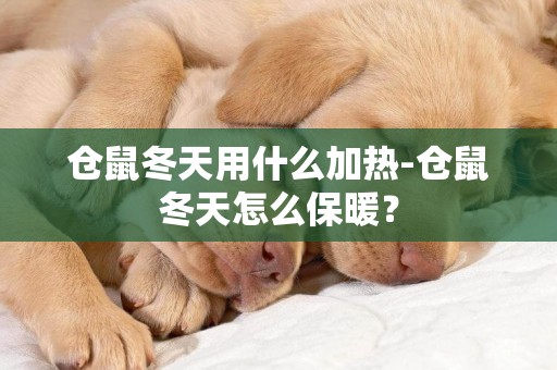 倉鼠冬天用什么加熱-倉鼠冬天怎么保暖？