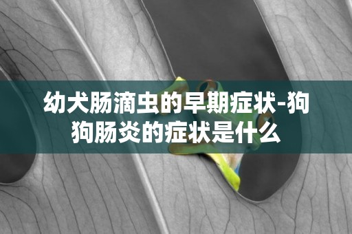幼犬腸滴蟲的早期癥狀-狗狗腸炎的癥狀是什么