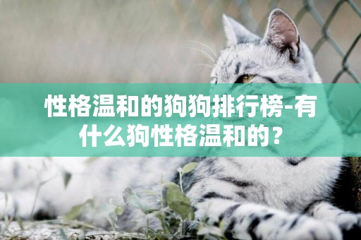 性格溫和的狗狗排行榜-有什么狗性格溫和的？