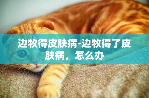 邊牧得皮膚病-邊牧得了皮膚病，怎么辦