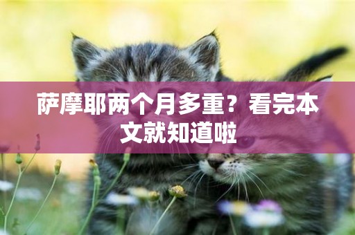 薩摩耶兩個月多重?看完本文就知道啦 薩摩耶兩個月多重?看完本文就知道啦