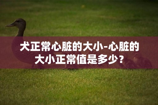 犬正常心臟的大小-心臟的大小正常值是多少？