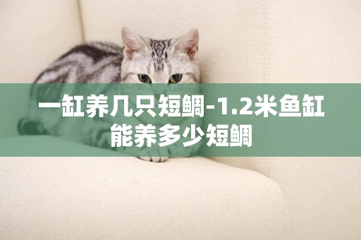 一缸養幾只短鯛-1.2米魚缸能養多少短鯛