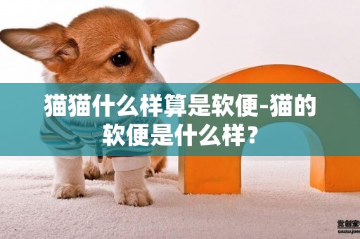 貓貓什么樣算是軟便-貓的軟便是什么樣？