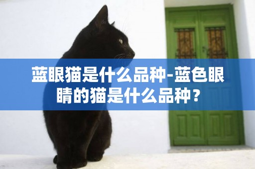 藍眼貓是什么品種-藍色眼睛的貓是什么品種？