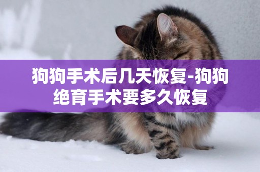 狗狗手術后幾天恢復-狗狗絕育手術要多久恢復