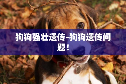狗狗強壯遺傳-狗狗遺傳問題！