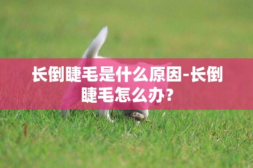 長倒睫毛是什么原因-長倒睫毛怎么辦？
