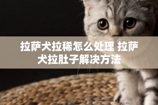 拉薩犬拉稀怎么處理 拉薩犬拉肚子解決方法