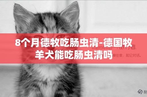 8個月德牧吃腸蟲清-德國牧羊犬能吃腸蟲清嗎