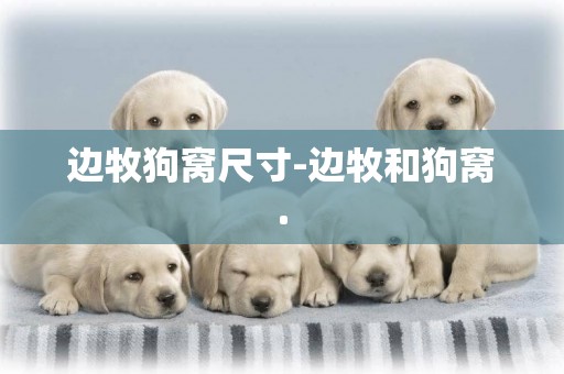邊牧狗窩尺寸-邊牧和狗窩.