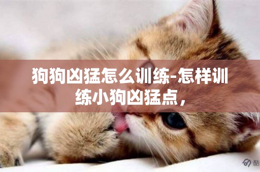 狗狗兇猛怎么訓練-怎樣訓練小狗兇猛點，