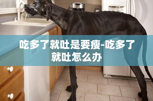 吃多了就吐是要瘦-吃多了就吐怎么辦