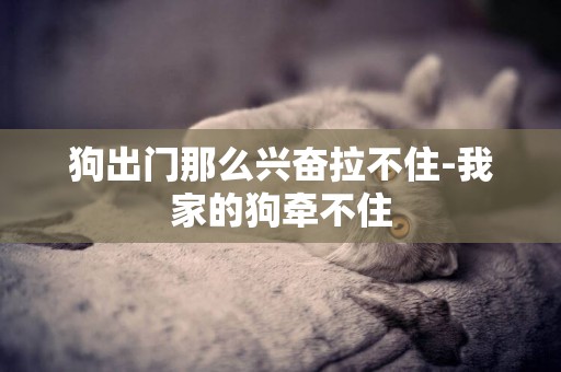 狗出門那么興奮拉不住-我家的狗牽不住