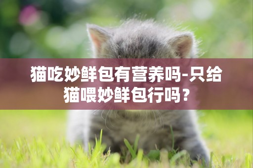 貓吃妙鮮包有營養嗎-只給貓喂妙鮮包行嗎？