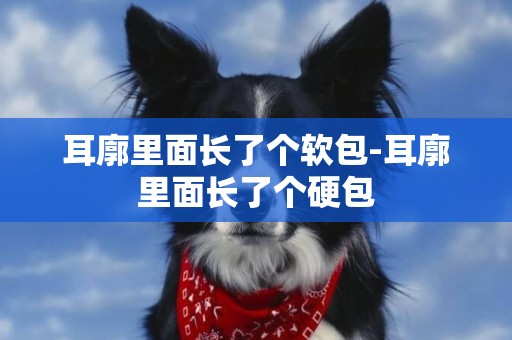 耳廓里面長了個軟包-耳廓里面長了個硬包