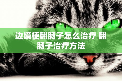 邊境梗翻腸子怎么治療 翻腸子治療方法